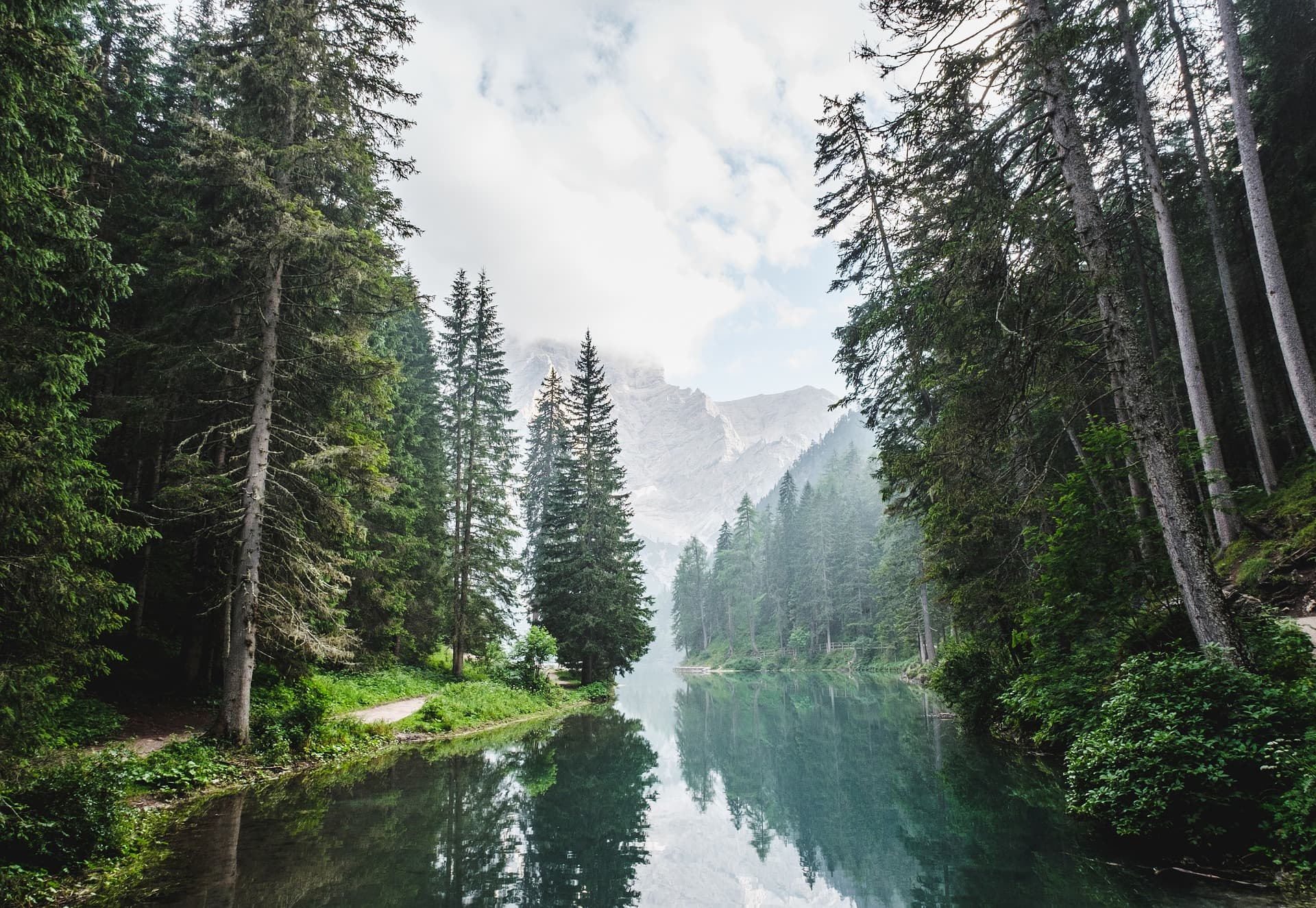 What Happens to Carbon Credits That Are Never Retired?