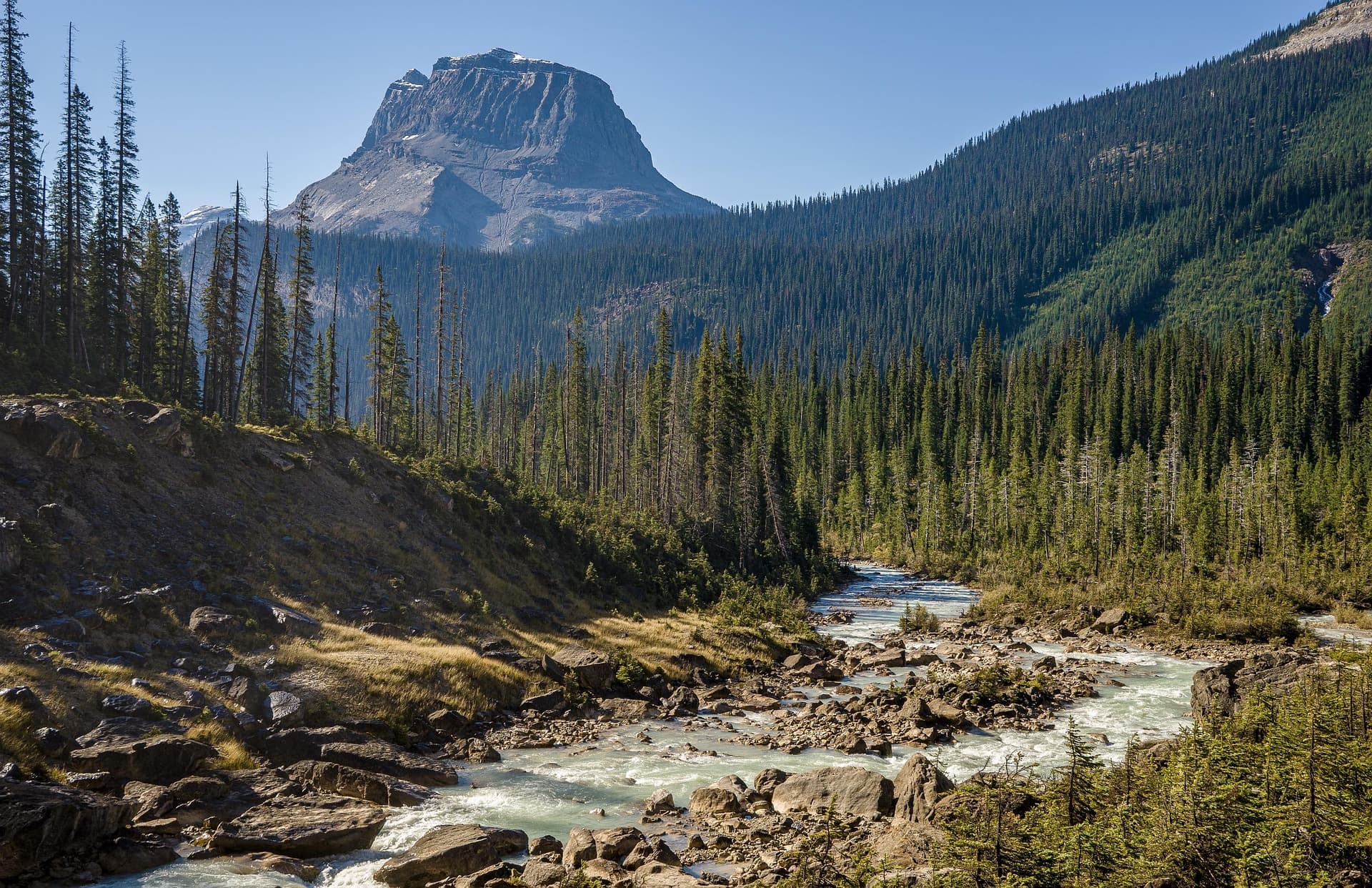 Carbon Removals vs Avoidance: Why the Difference Matters More Than Ever